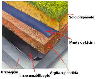 jardim sobre a laje.jpg